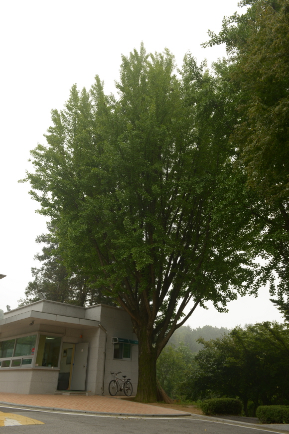 2014년 9월 모교풍경 대표 이미지